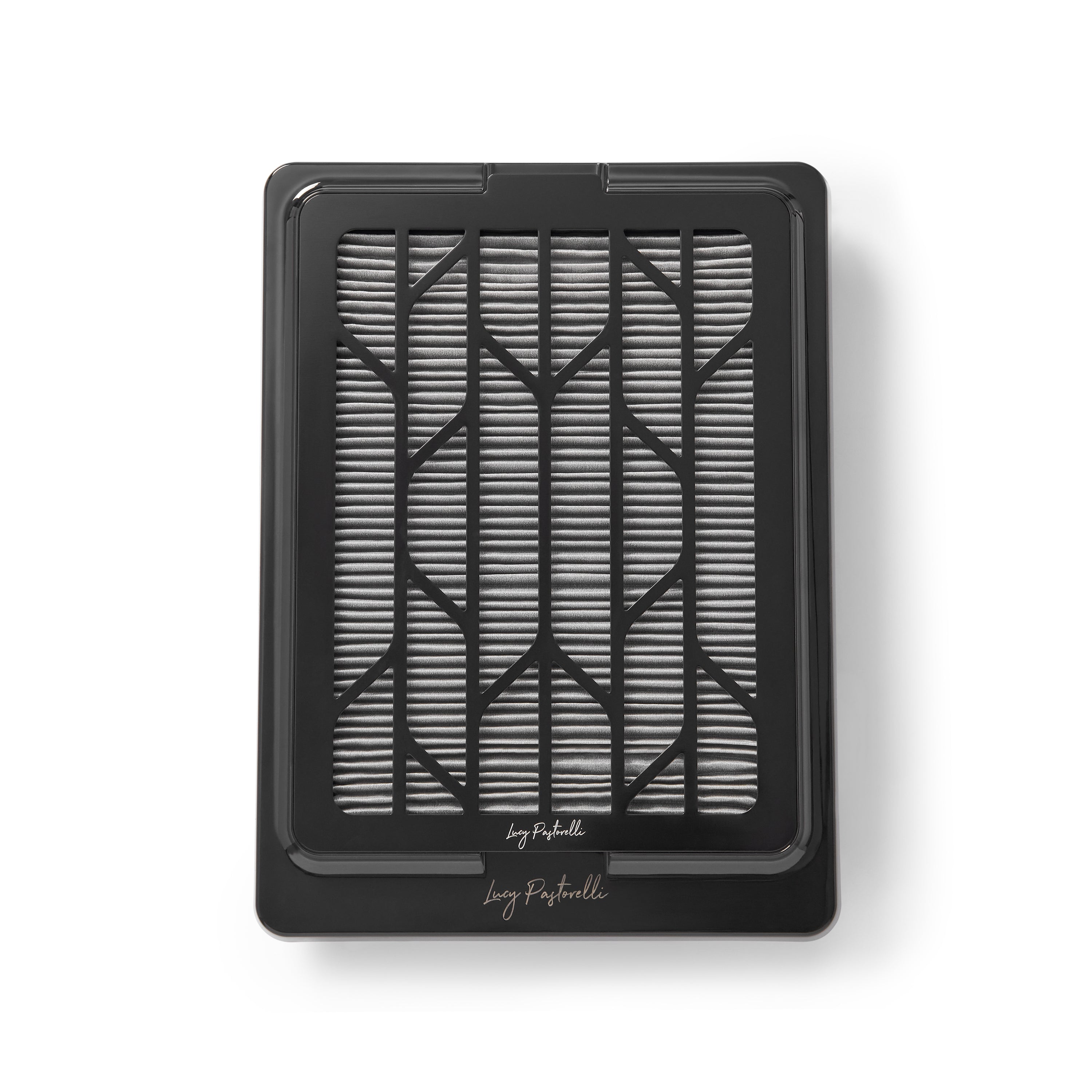 LP Dust Extractor for Nail Techs | Professional Dust Collector | Lucy ...